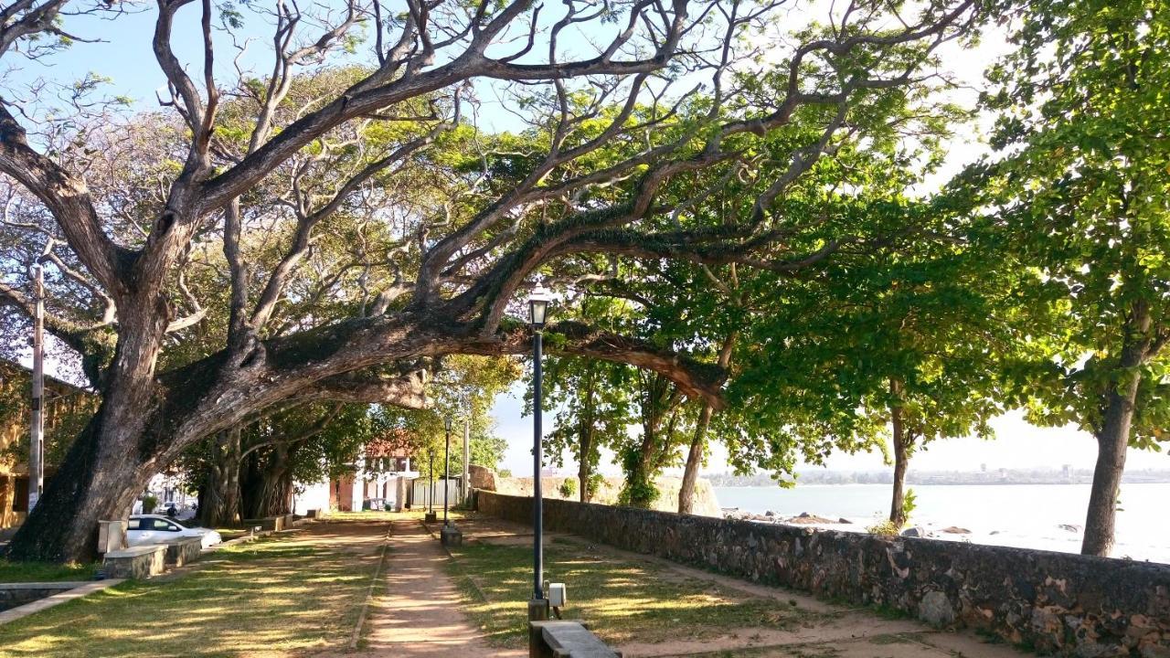 Oesis - Stylish Villa Steps From Historic Galle Fort エクステリア 写真